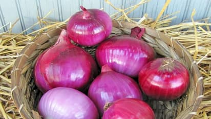 50 விதமான பிரச்சனைகளுக்கு ஒரே தீர்வு வீட்டு சமையலறையில் இருக்கு... தெரிஞ்சுக்குங்க தக்க சமயத்தில் உதவும்...