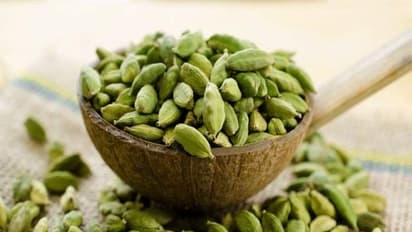 வகை வகையான ஏலக்காய் மற்றும் அதில் புதைந்து கிடக்கும் மருத்துவ குணங்கள்….