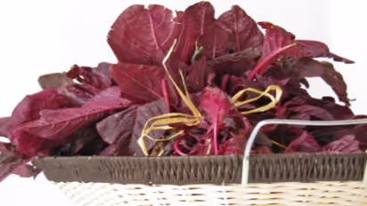 சிவப்புக் கீரையில் இவ்வளவு ஊட்டச்சத்துகள் இருப்பதால் தினமும் சாப்பிடலாம். ஆனால்…