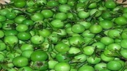 உடல்சோர்வு நீக்கும் சுண்டைக்காயின் மற்ற மருத்துவ பயன்கள்…