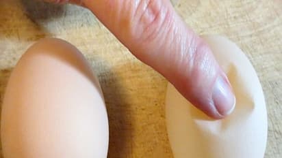 கோழி முட்டை ஓட்டின் தரம் குறைய வாய்ப்பு - கால்நடை மருத்துவக் கல்லூரி பகீர் தகவல்...