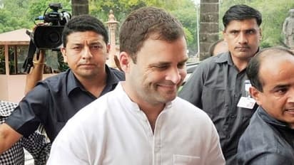 Rahul thanks Supreme Court for supporting 'Cong's vision' on Aadhaar