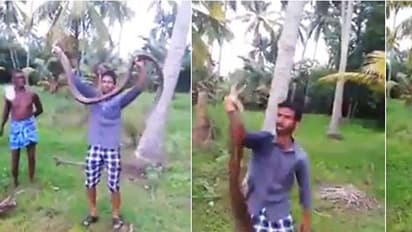 കണ്ടാല് രാജവെമ്പാല, കിട്ടിയത് പുഴയില് നിന്നും; വീഡിയോ കാണാം