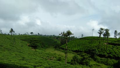 വയനാട്ടില് ടൂറിസം മേഖലയില് തകര്ച്ച; സാമ്പത്തികമേഖല പ്രതിസന്ധിയില്