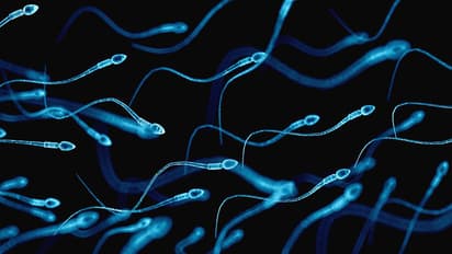 ബീജം നല്‍കണമെങ്കില്‍ കട്ട കമ്യൂണിസ്റ്റാകണം; വിചിത്ര നിയമവുമായി ഒരു ആശുപത്രി