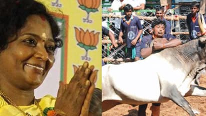 "இதுவரையில் நீங்கள் சொன்னதிலேயே இதுதாங்க ஹைலைட்... ஜல்லிக்கட்டு வீரர்களுக்கு அரசு வேலை" - தமிழிசையின் யோசனை