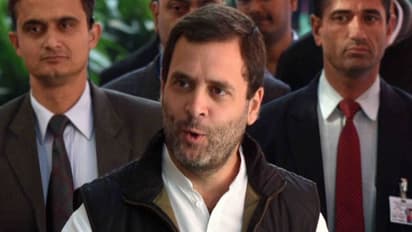 காந்தி, நேரு, அம்பேத்கர்... மூவருக்கு இடையேயான ஒற்றுமை என்ன? அமெரிக்காவில் ராகுல் காந்தி பேச்சு..!