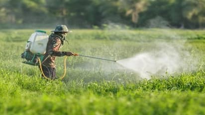 பூச்சிக்கொல்லிகளை பயன்படுத்தும்போது என்ன செய்யணும்? என்ன செய்யக் கூடாது? தெரிஞ்சுக்குங்க…