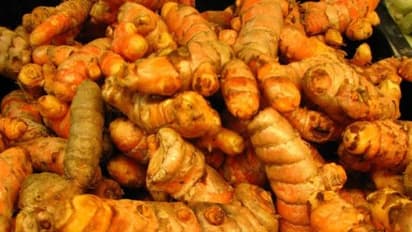 மஞ்சளை சுத்தம் செய்து மெருகு மற்றும் நிறம் ஏற்ற சில வழிகள்…