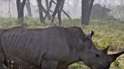 സഞ്ചാരികള്ക്ക് മാത്രം സാദ്ധ്യമാവുന്ന ചില നന്മകളുണ്ട്!
