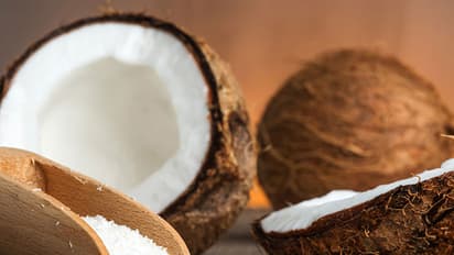 ತೆಂಗಿನ ಕಾಯಲ್ಲ, ತೆಂಗಿನ ಹೂವು ಸೇವಿಸಿ ರೋಗ ನಿರೋಧಕ ಶಕ್ತಿ ಹೆಚ್ಚಿಸಿ