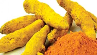 நம் ஊரு மஞ்சளுக்கு அமெரிக்காகாரன் உரிமை கொண்டாட இந்த சட்டம்தான் காரணம்...