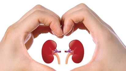 കുടുംബാംഗങ്ങൾക്കിടയിൽ വൃക്ക മാറ്റിവെക്കലിന് സൗകര്യമൊരുക്കുന്ന പ്രത്യേക പദ്ധതിക്ക് സൗദിയിൽ തുടക്കം