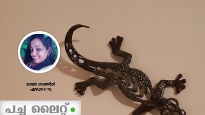 ഫെയ്ക് എന്ന് കേട്ടതല്ലാതെ കാണുന്നത് ആദ്യമായിട്ടായിരുന്നു