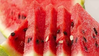 சர்க்கரை நோயை கட்டுப்படுத்த தர்பூசணி விதைகளை இப்படி சாப்பிட்டாலே போதும்... சூப்பர் ரிசல்ட் கிடைக்கும்....