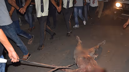 Is there anything moral in what moral police do?