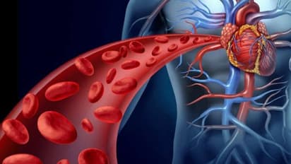 இரத்தத்தை சுத்திகரிக்க வேண்டும் என்று நினைப்பவர்கள் இந்த 8 உணவுகளை சாப்பிடலாம்..