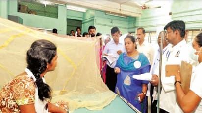 அரசு மருத்துவமனையில் அனுமதிக்கப்பட்டவர்களில் 10 பேருக்கு டெங்கு – ஆய்வுக்குப்பின் ஆட்சியர் அறிவிப்பு…