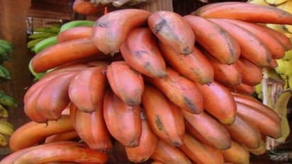 செம்மையான உடல் ஆரோக்கியம் தரும் செவ்வாழை…