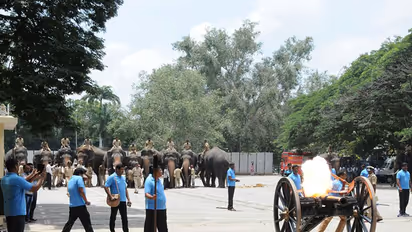Dasara elephants and horses get agitated over canon blast