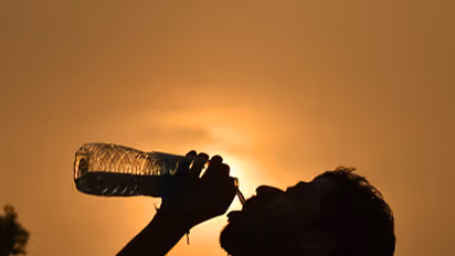 Severe heatwave to continue, temperature likely to fall from May 16: IMD