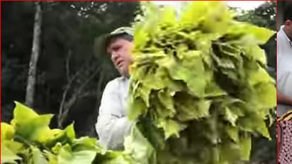 (Video)ನೀವು ಇಷ್ಟಪಟ್ಟು ಸೇದುವ ಸಿಗರೇಟ್ ಹೇಗೆ ತಯಾರಿಸುತ್ತಾರೆ ಗೊತ್ತಾ? ಇಲ್ಲಿದೆ ಶಾಕಿಂಗ್ ವಿಡಿಯೋ