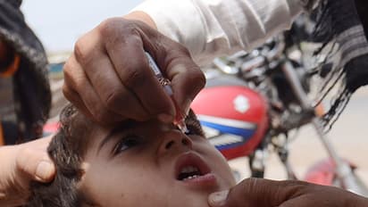 Polio virus Type 2 found in oral vaccines, vigil stepped up in Uttar Pradesh, Maharashtra, Telangana