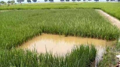 தோட்டக்கலை மற்றும் போக்களி நிலங்களில் மீன் வளர்க்கும் முறை பற்றி கேள்விப்பட்டதுண்டா?