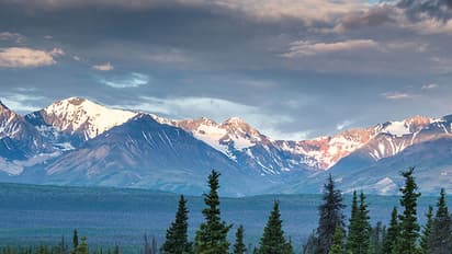 ഒരു മഴ കാടായ വിധം!