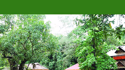 നാഗങ്ങൾ വിഹരിക്കുന്ന 'മണ്ണാറിയശാല": മണ്ണാറശാല ആയില്യപൂജ നാളെ