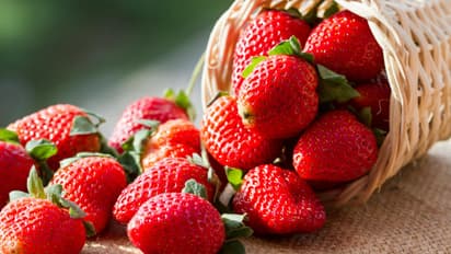 ಕಾಮಾಸಕ್ತಿ ಹೆಚ್ಚಲು ಸೆಕ್ಸ್ ಗೂ ಮುನ್ನ ರಾಸ್ಬೆರಿ, ಅವಕಾಡೋ ಸವಿಯಿರಿ