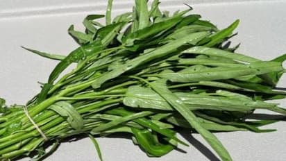 தோல் மற்றும் முடி பிரச்சனைகளை போக்கும் தண்ணீர் கீரை…