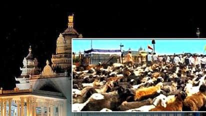 Belagavi Suvarna Soudha encounters 500 unexpected guests