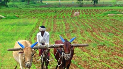 ಕಾಂಗ್ರೆಸ್ ಆಡಳಿತದ ಮತ್ತೊಂದು ರಾಜ್ಯ ಸರ್ಕಾರದಿಂದ ರೈತರ ಸಾಲ ಮನ್ನಾ