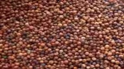 உங்களுக்குத் தெரியுமா? பாலில் உள்ள கால்சியத்தை விட கேழ்வரகில் அதிக கால்சியம் இருக்கு…