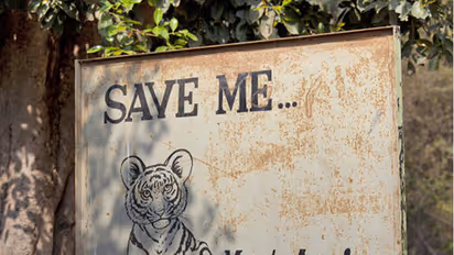Has Telangana lost its love for tigers? No money in budget