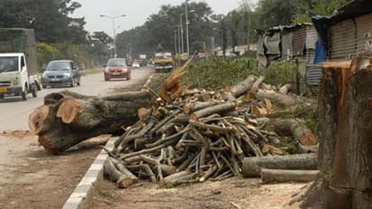 BBMP goes smart, uses divide and cut tree policy for signal-free corridor