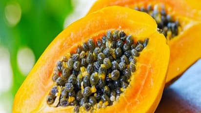 யாரெல்லாம் பப்பாளிப் பழத்தை சாப்பிடவே கூடாது? தெரிஞ்சுக்க இதை வாசிங்க....