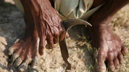 इस चीज़ की मदद से सिर्फ 1 रुपये में फसलों की सेहत जान सकेंगे किसान