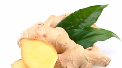 மூளையின் செயற்திறனை ஊக்குவிக்க இந்த எளிய உணவை ஒரு மாதம் சாப்பிடுங்கள்...