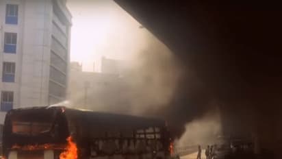 PIL seeks HC direction to protect Tamils in Karnataka, Kerala