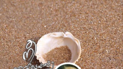 ഏതോ വനം വകുപ്പ് ഓഫീസില്‍   അംജുദ ചേച്ചിയുണ്ടാവും!