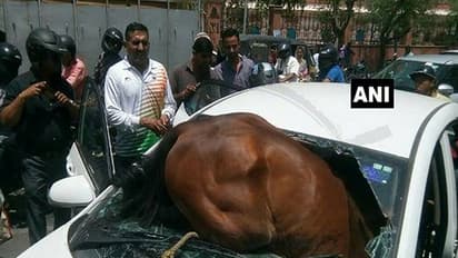 ಜೈಪುರದಲ್ಲೊಂದು ವಿಚಿತ್ರ ಅಪಘಾತ!