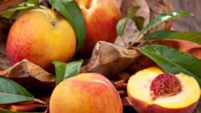 பீச் பழத்தில் இப்படி ஃபேஸ் மாஸ்க் செய்து பயன்படுத்தினால் எக்கச்சக்கமாய் அழகு கூடும்...