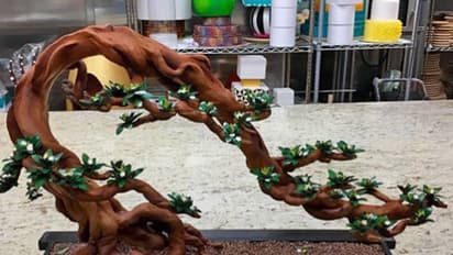 Watch: Amazing chocolate art