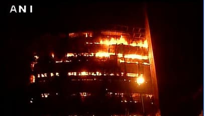 Delhi's National Museum of Natural History gutted in a massive fire