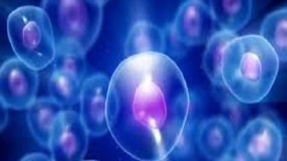 வயதான உயிரணுக்களை அழித்தால் மரணத்தை தள்ளிப்போடலாமாம் – ஆய்வு சொல்லுது…