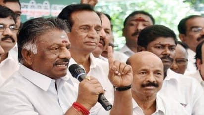 "ஜெயலலிதாவின் மேல்சிகிச்சையை தடுத்தவர் விஜயபாஸ்கர்" - ஓபிஎஸ் சரமாரி குற்றச்சாட்டு