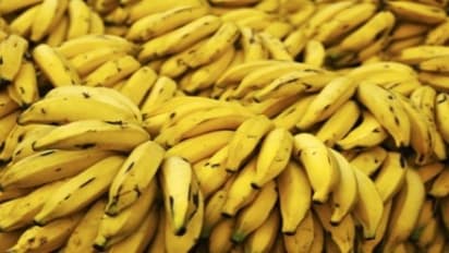 வலிப்பு நோயில் இருந்து விடுபட வாழைப்பழம் சாப்பிடணுமாம் – ஆய்வு சொல்லுது…