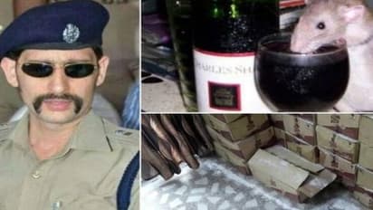 9 லட்சம் லிட்டர் பாரீன் சரக்கை எலி குடிச்சிருச்சாம்..!! - போலீசார் சொன்ன புது கதை...